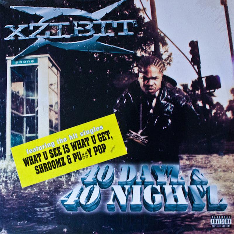 Xzibit - 40 Dayz & 40 Nightz (2xLP, Album) (1998) [Used Vinyl]